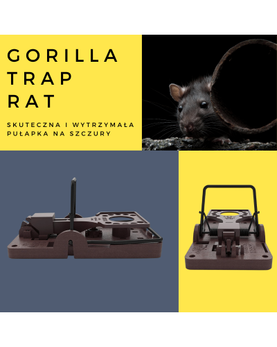 GORILLA TRAP to pułapka na szczury, która gwarantuje skuteczność, nie powoduje cierpienia szczurów.