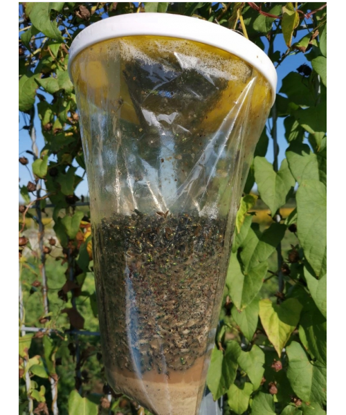 PUŁAPKA NA MUCHY WOREK  FLY CATCHER