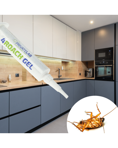 Użyj żelu 4ROACH na karaluchy w kuchni. Krople żelu z wabikiem wyłóż tam, gdzie chowają się prusaki.