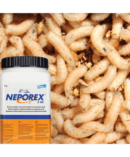 NEPOREX 2SG larwicyd na muchy, preparat na larwy much, oprysk i posypywanie